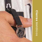 Estuchera Pegaso Caballeros del Zodiaco Armadura Bronce