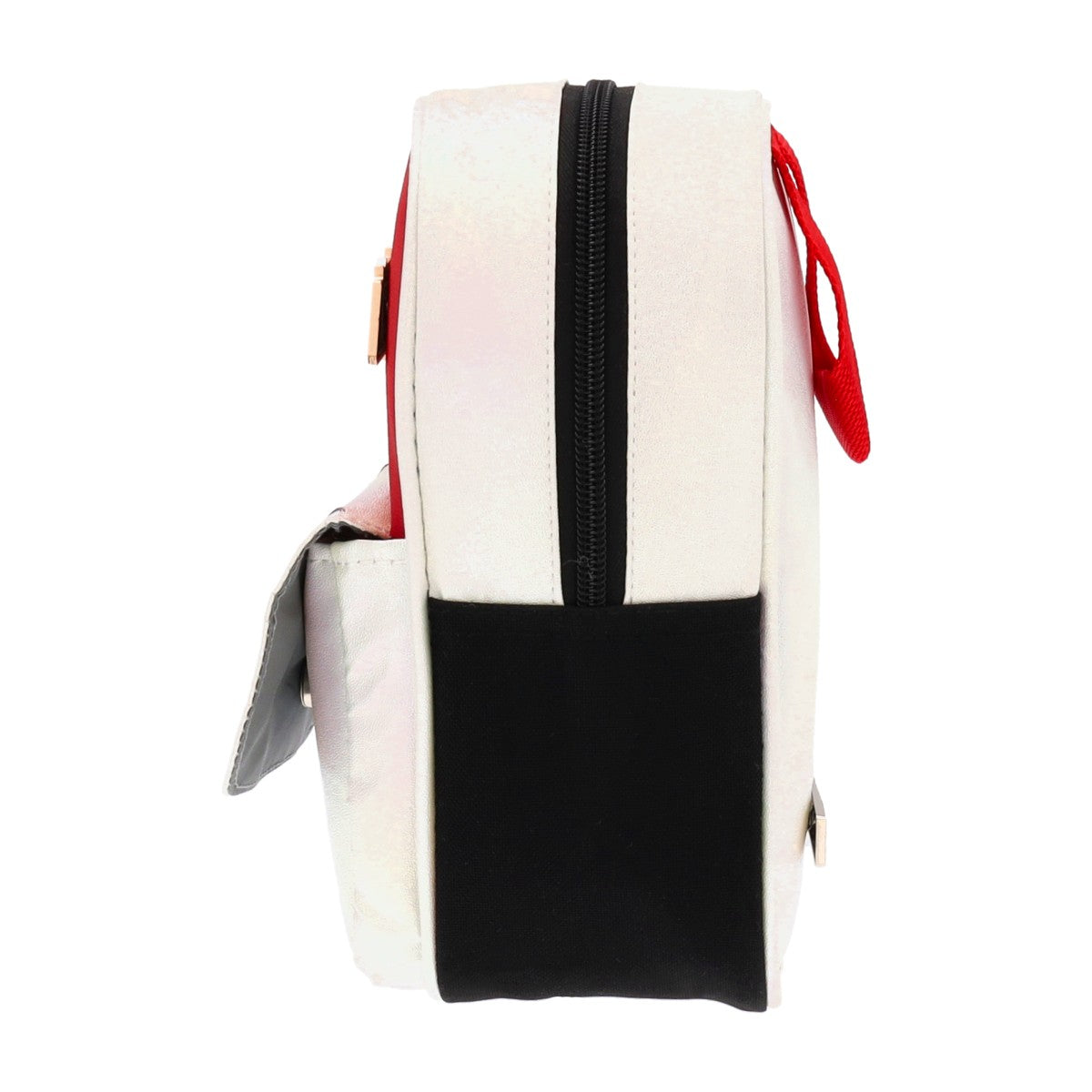 Estuchera Pegaso Caballeros del Zodiaco Armadura Bronce