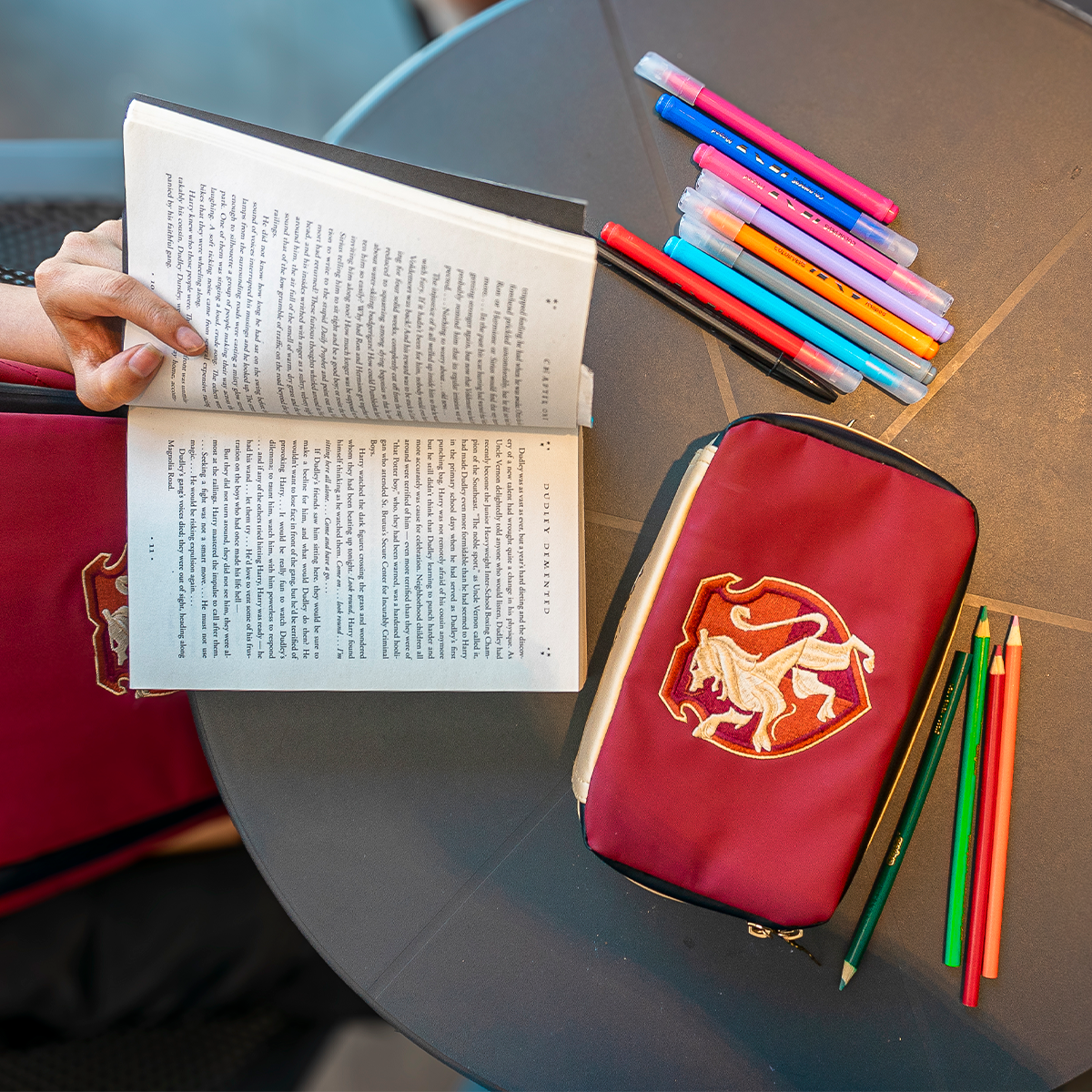 Estuche Gryffindor Hogwarts Legacy